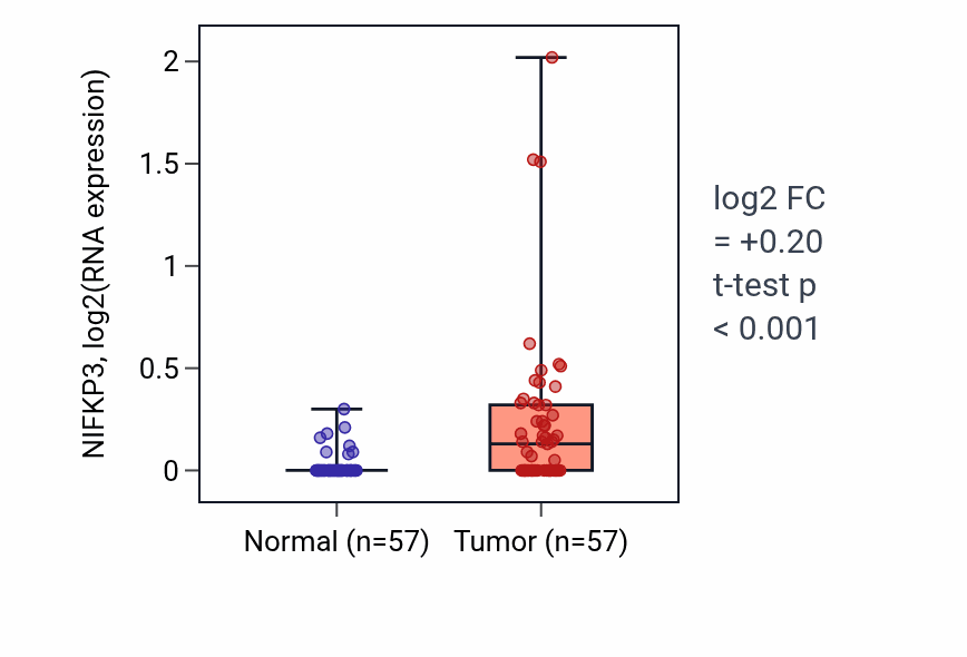 Tumor-vs-normal expression box plot for NIFKP3 in LUAD.