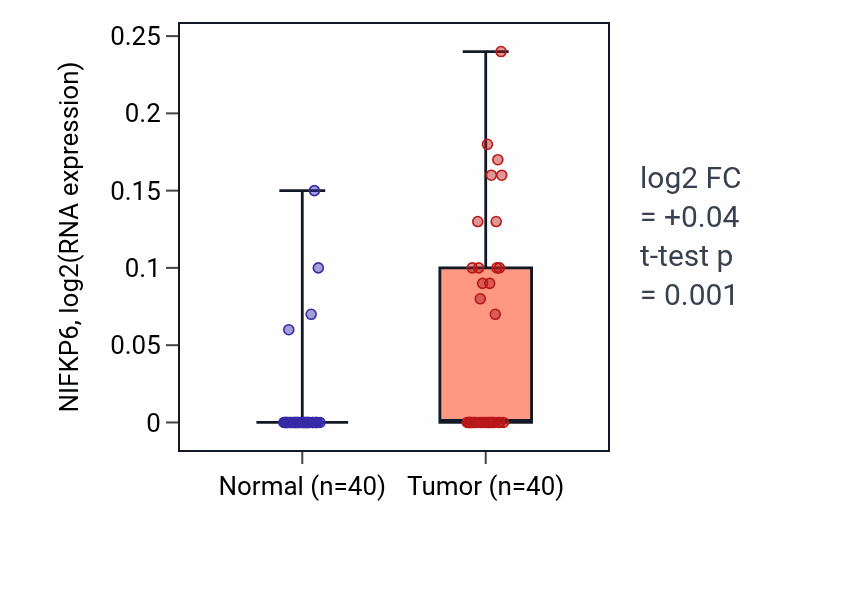 Tumor-vs-normal expression box plot for NIFKP6 in HNSC.