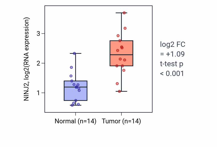 Tumor-vs-normal expression box plot for NINJ2 RNA in KIRC.