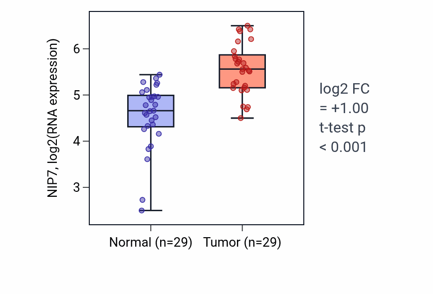 Tumor-vs-normal expression box plot for NIP7 RNA in HNSC.