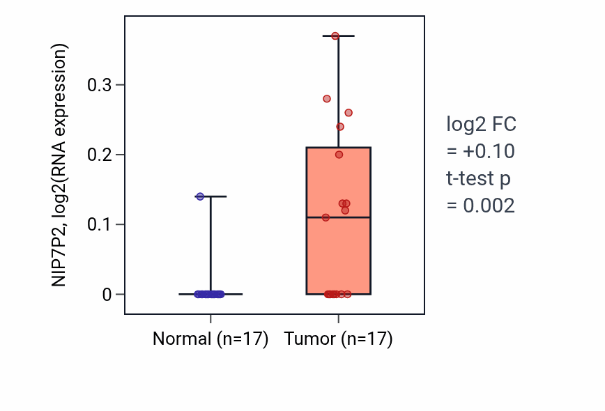 Tumor-vs-normal expression box plot for NIP7P2 in HNSC.