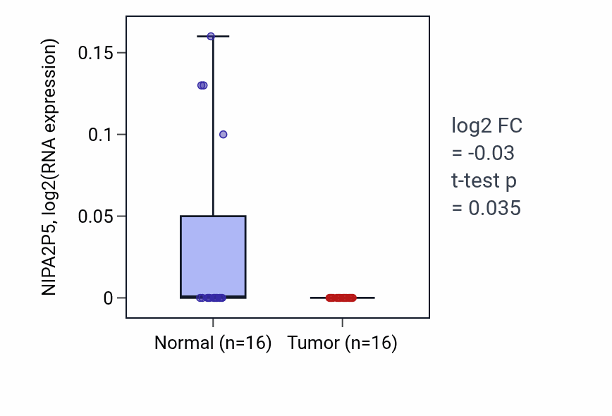 Tumor-vs-normal expression box plot for NIPA2P5 in LUSC.