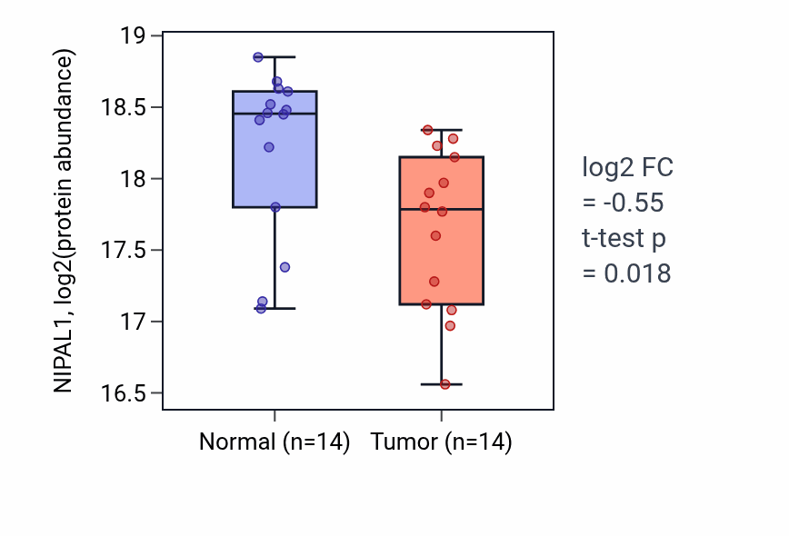 Tumor-vs-normal mass-spec protein box plot for NIPAL1 in HNSC.