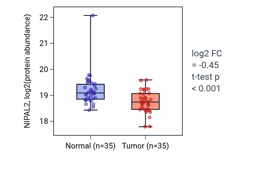 Tumor-vs-normal mass-spec protein box plot for NIPAL2 in HNSC.