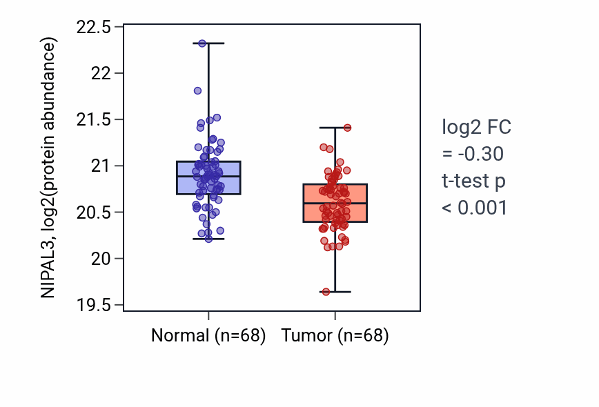 Tumor-vs-normal mass-spec protein box plot for NIPAL3 in LSCC.