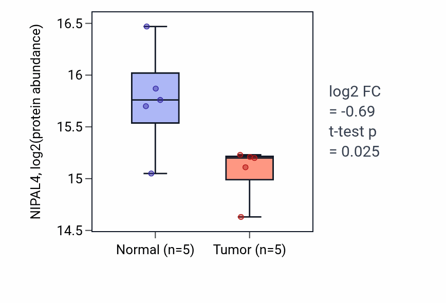 Tumor-vs-normal mass-spec protein box plot for NIPAL4 in HNSC.