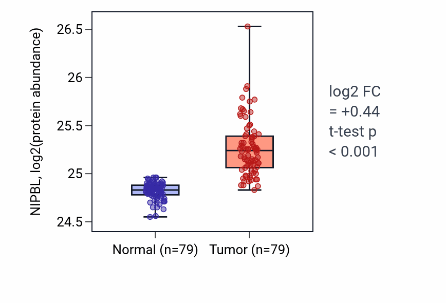 Tumor-vs-normal mass-spec protein box plot for NIPBL in LSCC.