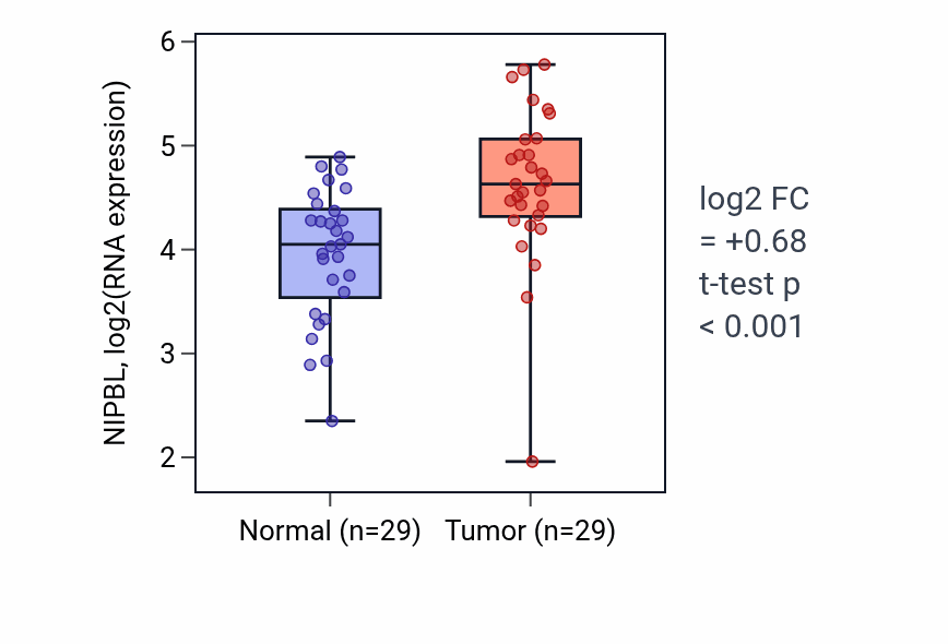 Tumor-vs-normal expression box plot for NIPBL RNA in HNSC.