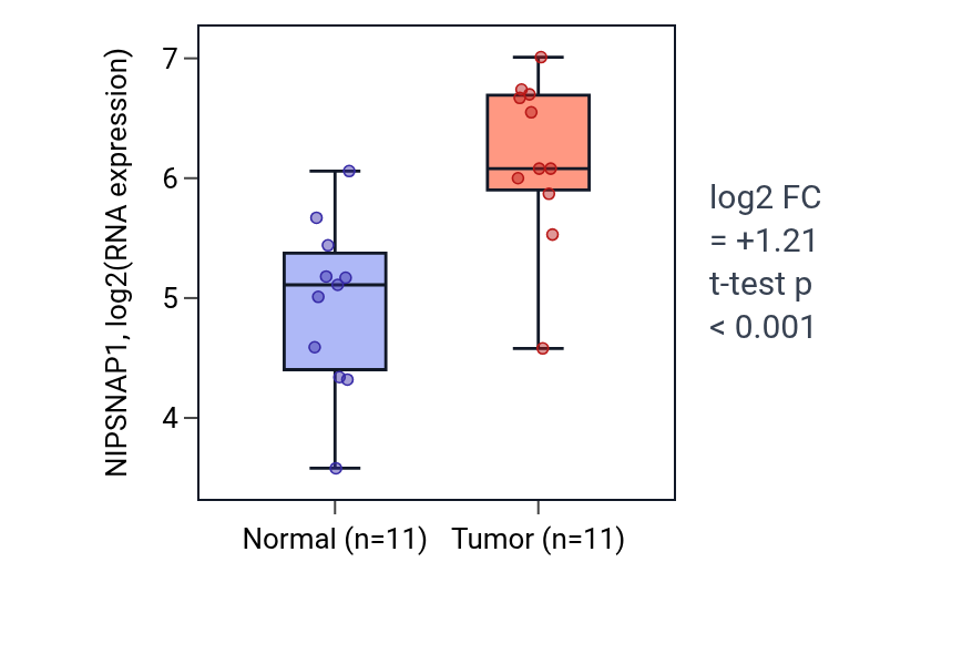 Tumor-vs-normal expression box plot for NIPSNAP1 in HNSC.