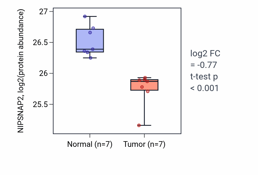 Tumor-vs-normal mass-spec protein box plot for NIPSNAP2 in CCRCC.