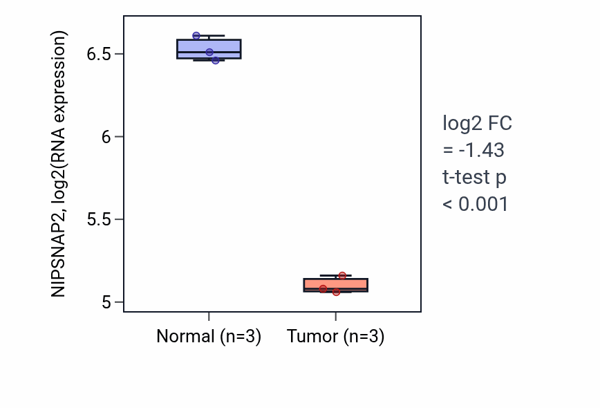Tumor-vs-normal expression box plot for NIPSNAP2 RNA in THCA.