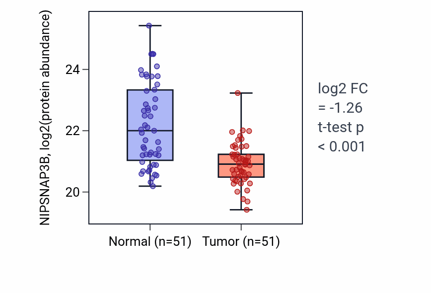 Tumor-vs-normal mass-spec protein box plot for NIPSNAP3B in HNSC.