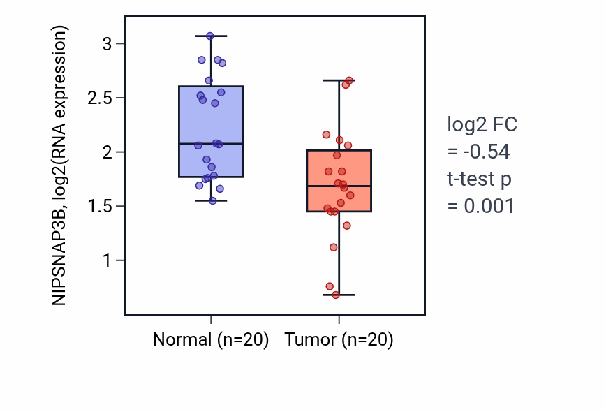 Tumor-vs-normal expression box plot for NIPSNAP3B RNA in KIRC.