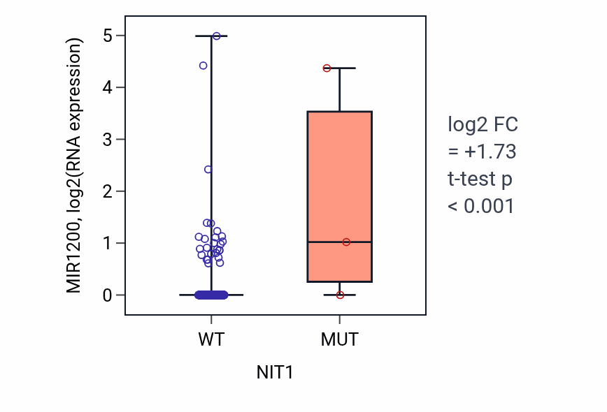 Box plot of MIR1200 in NIT1-low vs NIT1-high samples in LUAD.
