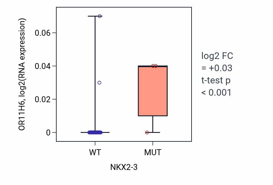 Box plot of OR11H6 in NKX2-3-low vs NKX2-3-high samples in CNS.