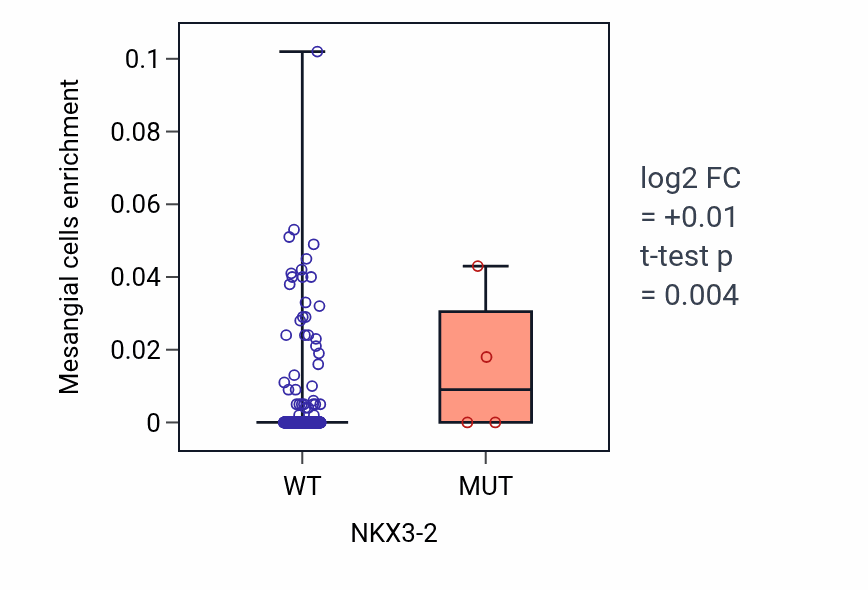 Box plot of Mesangial cells in NKX3-2-low vs NKX3-2-high samples in SKCM.