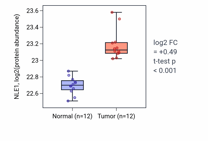 Tumor-vs-normal mass-spec protein box plot for NLE1 in CCRCC.
