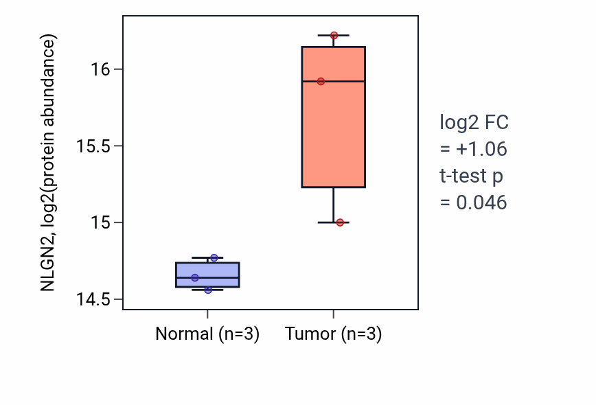 Tumor-vs-normal mass-spec protein box plot for NLGN2 in LSCC.