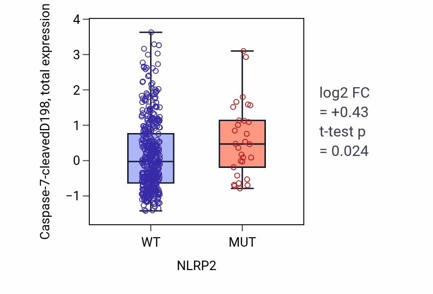 Box plot of Caspase-7-cleavedD198 in NLRP2-low vs NLRP2-high samples in UCEC.