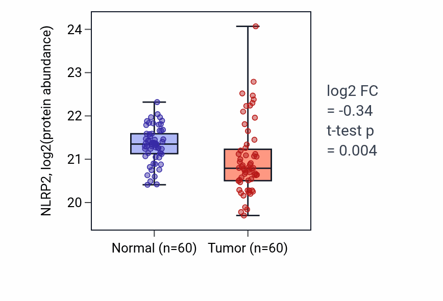 Tumor-vs-normal mass-spec protein box plot for NLRP2 in LUAD.