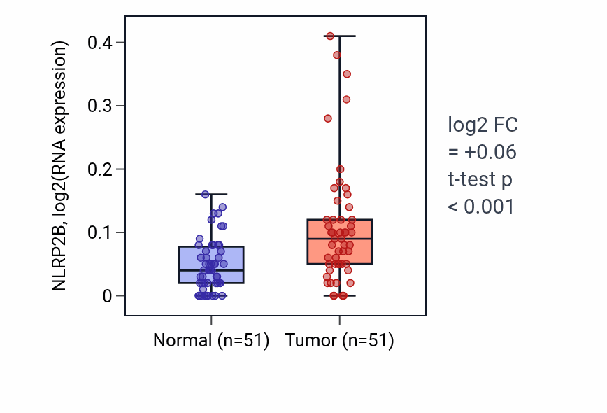 Tumor-vs-normal expression box plot for NLRP2B in KIRC.