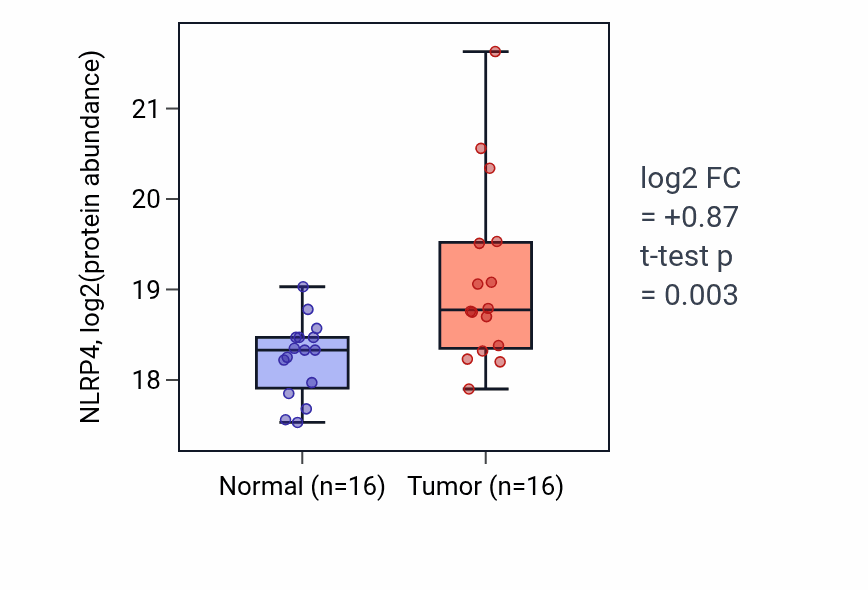 Tumor-vs-normal mass-spec protein box plot for NLRP4 in CCRCC.