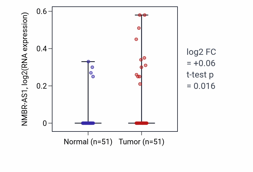 Tumor-vs-normal expression box plot for NMBR-AS1 in KIRC.