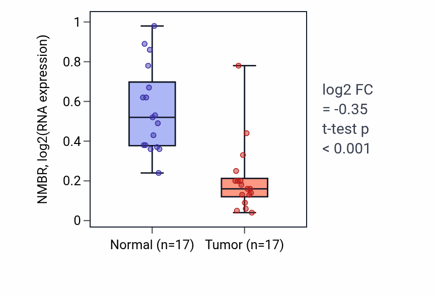 Tumor-vs-normal expression box plot for NMBR RNA in THCA.