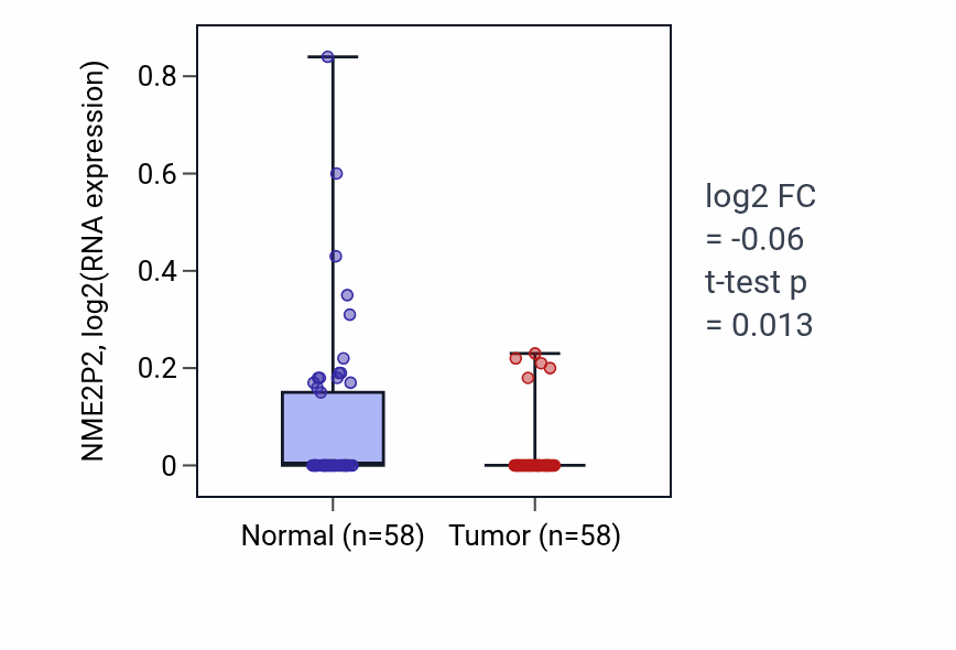Tumor-vs-normal expression box plot for NME2P2 in THCA.