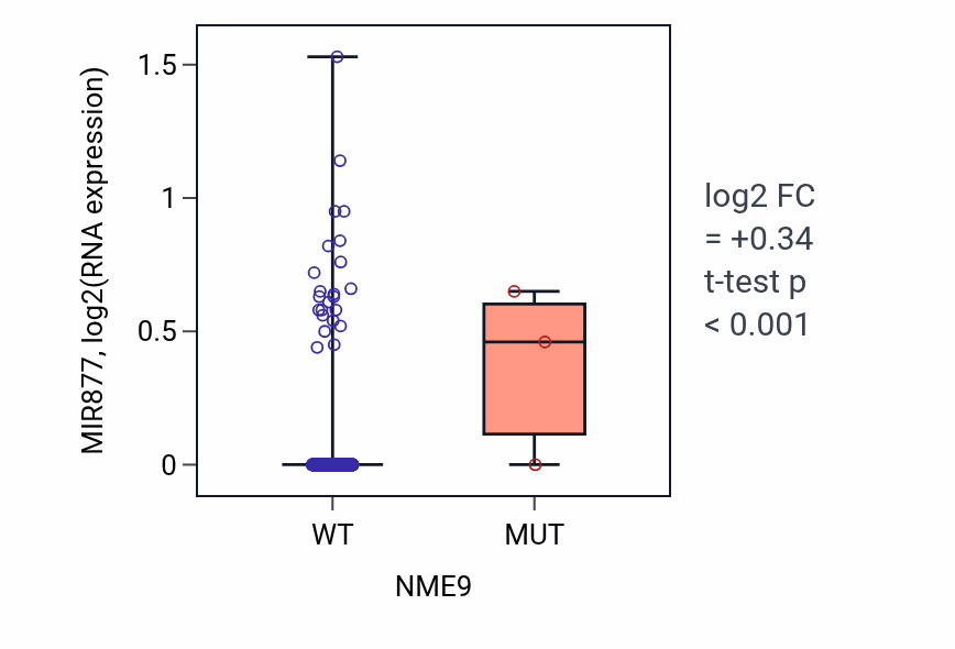 Box plot of MIR877 in NME9-low vs NME9-high samples in HNSC.