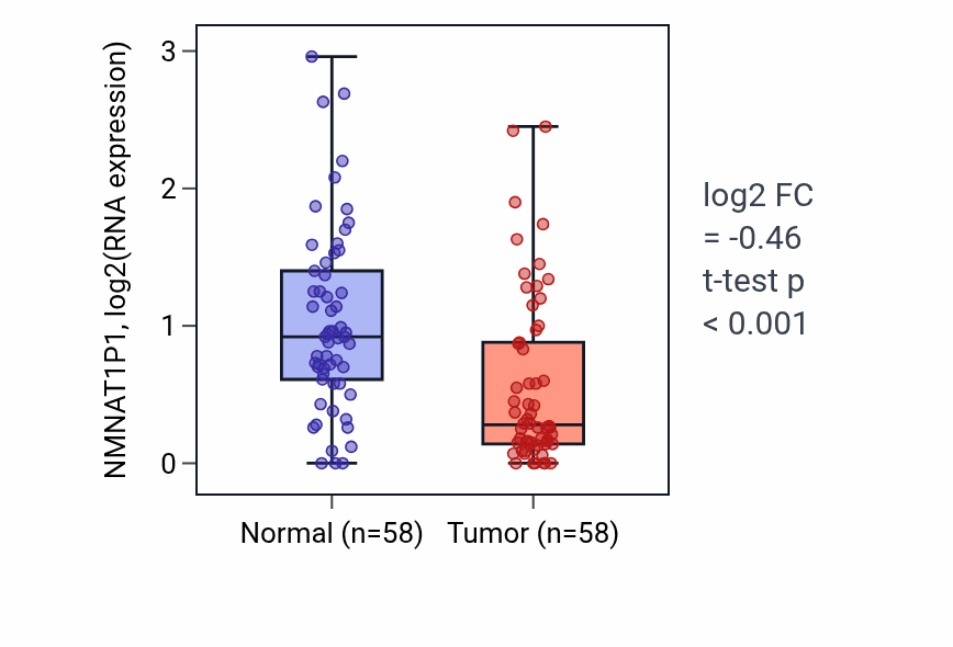 Tumor-vs-normal expression box plot for NMNAT1P1 in THCA.