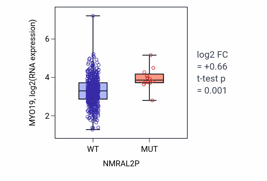 Box plot of MYO19 in NMRAL2P-low vs NMRAL2P-high samples in UCEC.