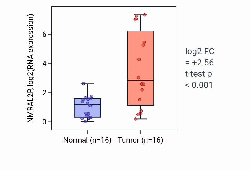 Tumor-vs-normal expression box plot for NMRAL2P RNA in HNSC.