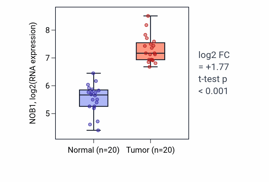Tumor-vs-normal expression box plot for NOB1 RNA in COAD.