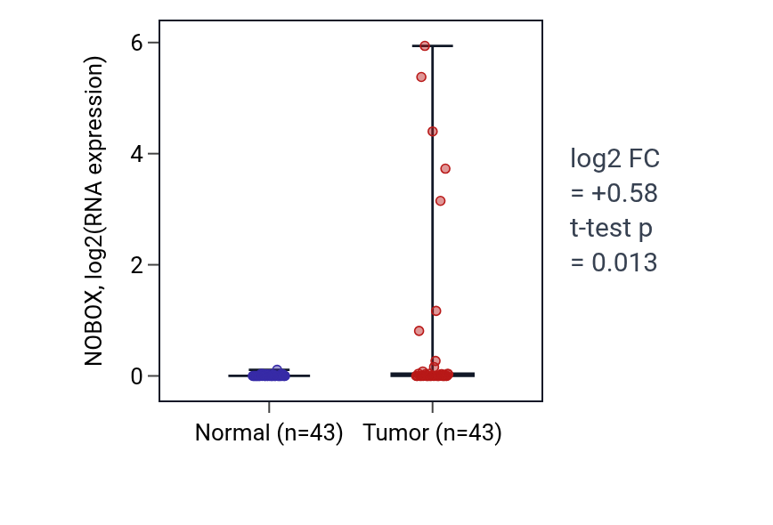 Tumor-vs-normal expression box plot for NOBOX in HNSC.