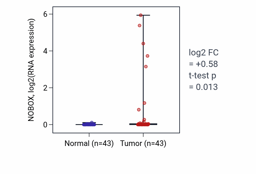 Tumor-vs-normal expression box plot for NOBOX RNA in HNSC.