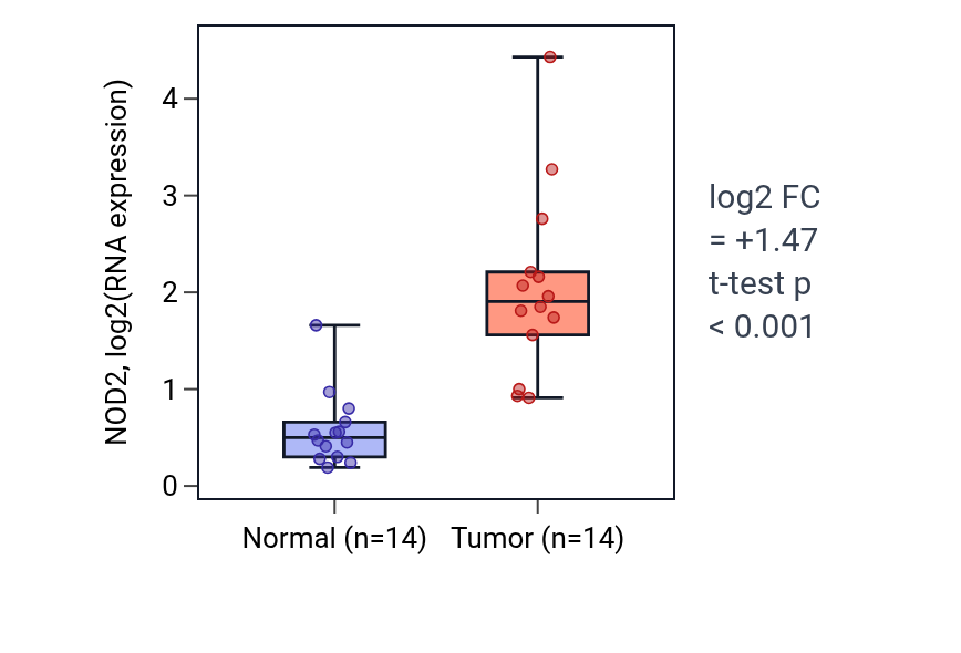Tumor-vs-normal expression box plot for NOD2 in KIRC.