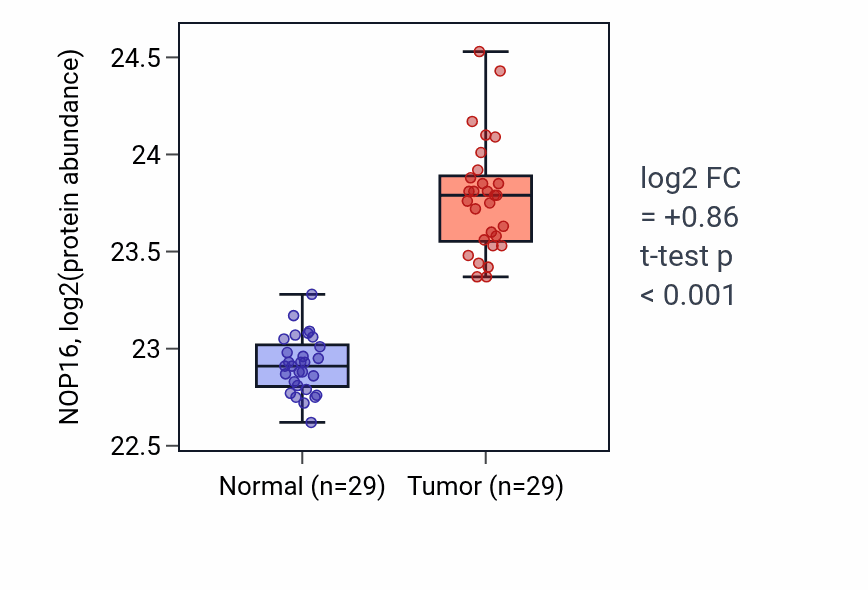 Tumor-vs-normal mass-spec protein box plot for NOP16 in CCRCC.
