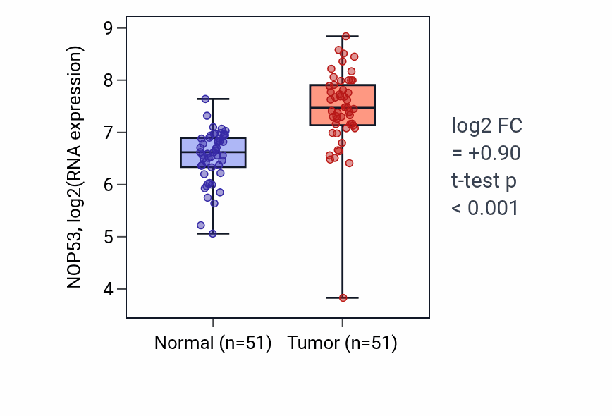Tumor-vs-normal expression box plot for NOP53 RNA in KIRC.