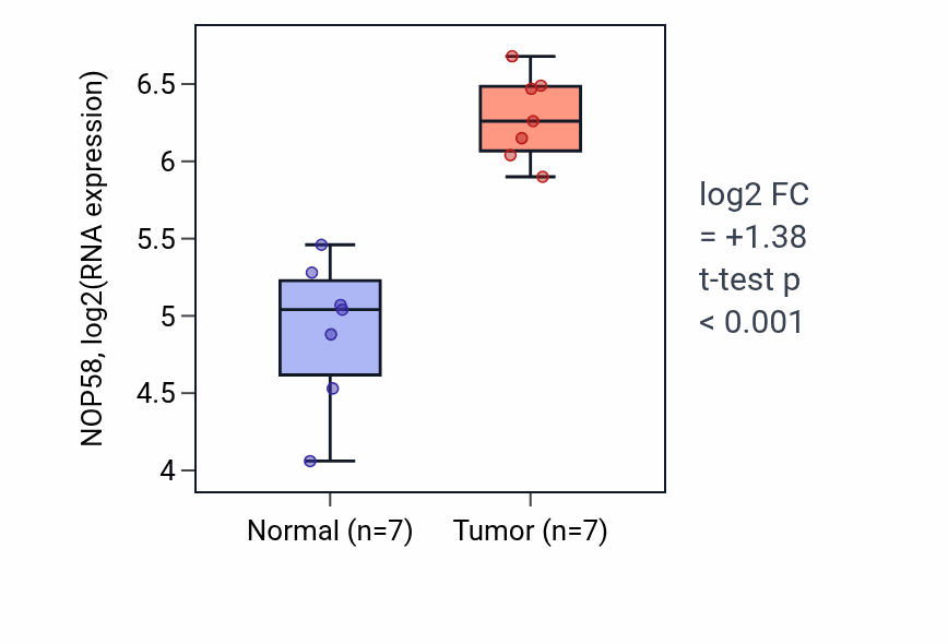 Tumor-vs-normal expression box plot for NOP58 RNA in STAD.