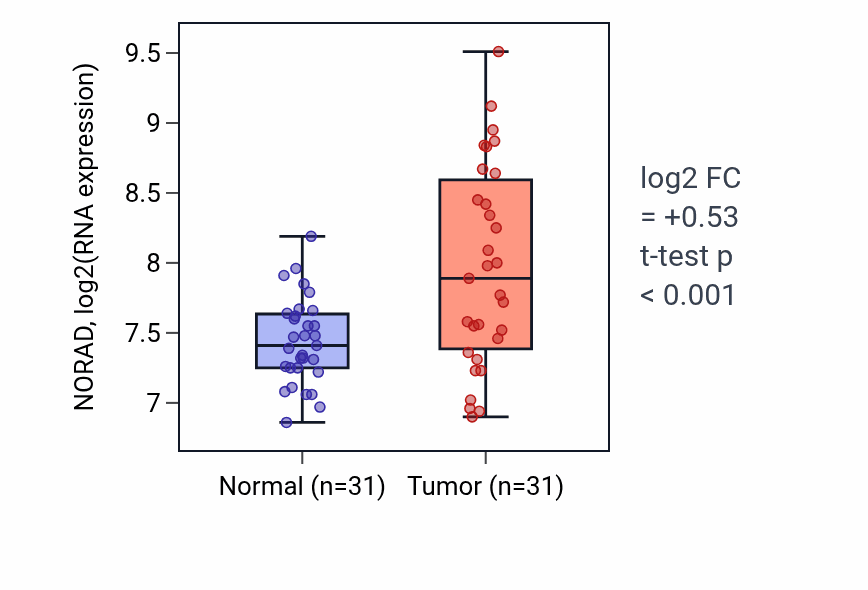 Tumor-vs-normal expression box plot for NORAD RNA in KIRP.