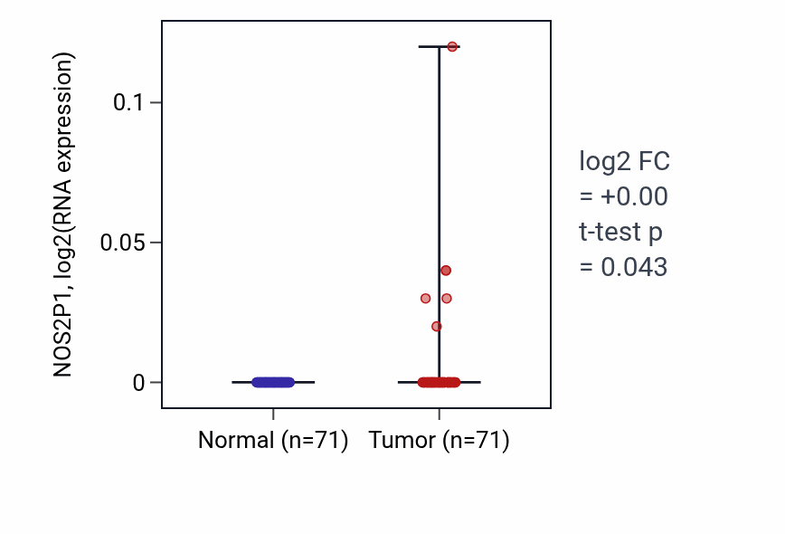 Tumor-vs-normal expression box plot for NOS2P1 in KIRC.