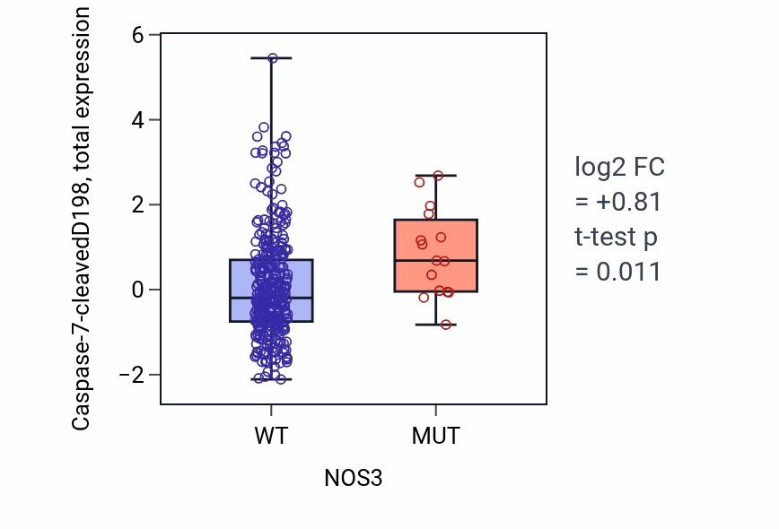 Box plot of Caspase-7-cleavedD198 in NOS3-low vs NOS3-high samples in COAD.