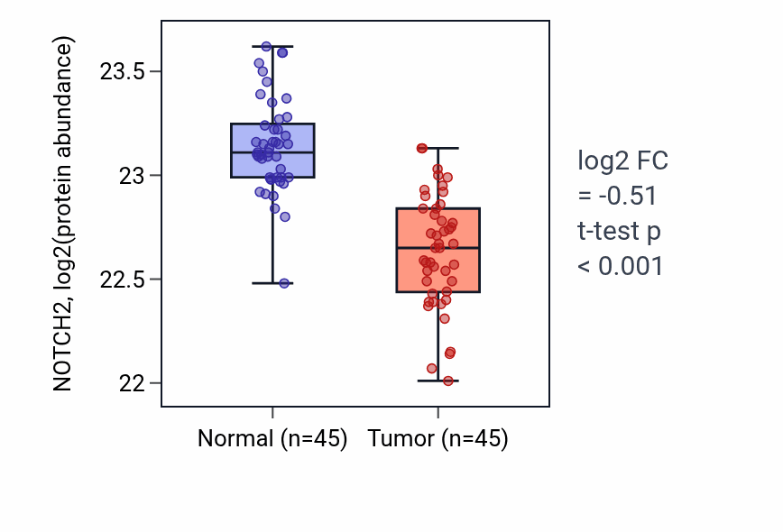 Tumor-vs-normal mass-spec protein box plot for NOTCH2 in HNSC.