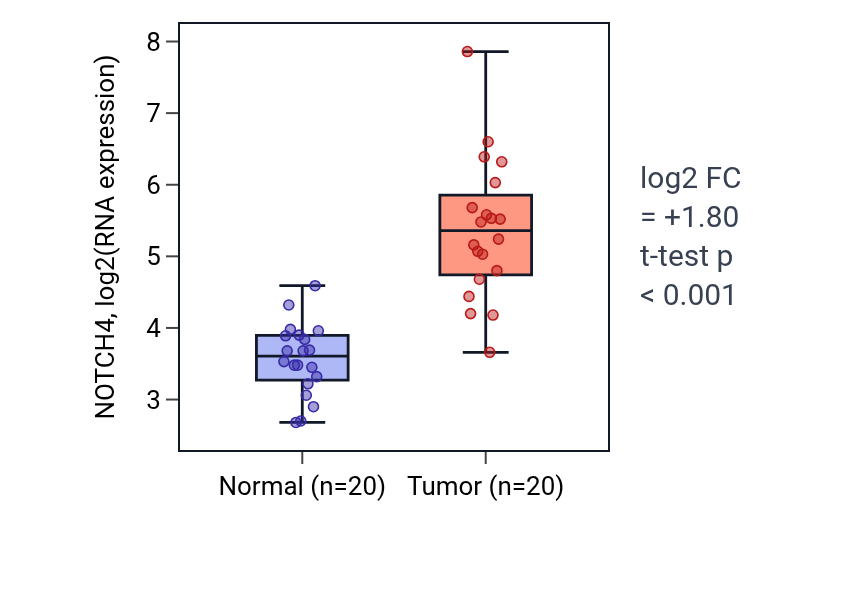 Tumor-vs-normal expression box plot for NOTCH4 in KIRC.