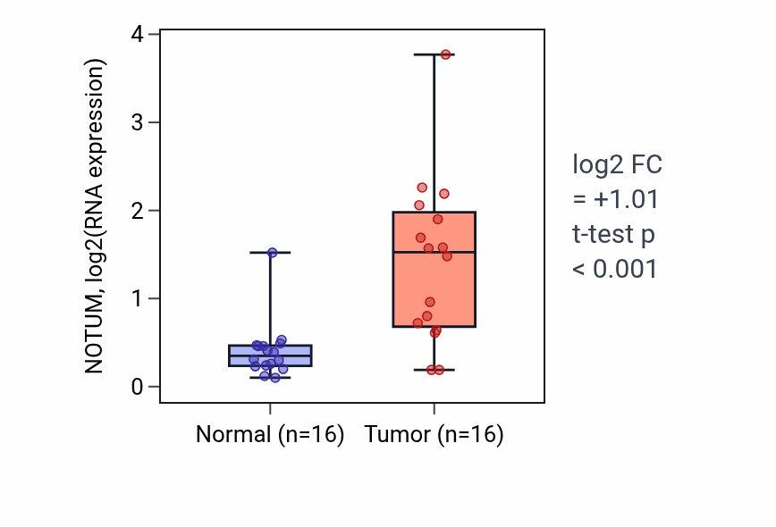 Tumor-vs-normal expression box plot for NOTUM in HNSC.