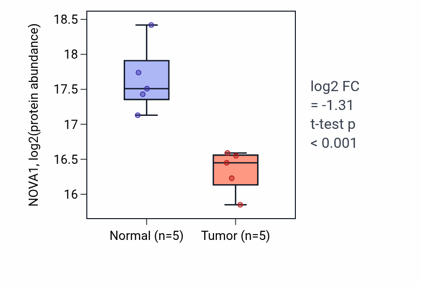 Tumor-vs-normal mass-spec protein box plot for NOVA1 in HNSC.