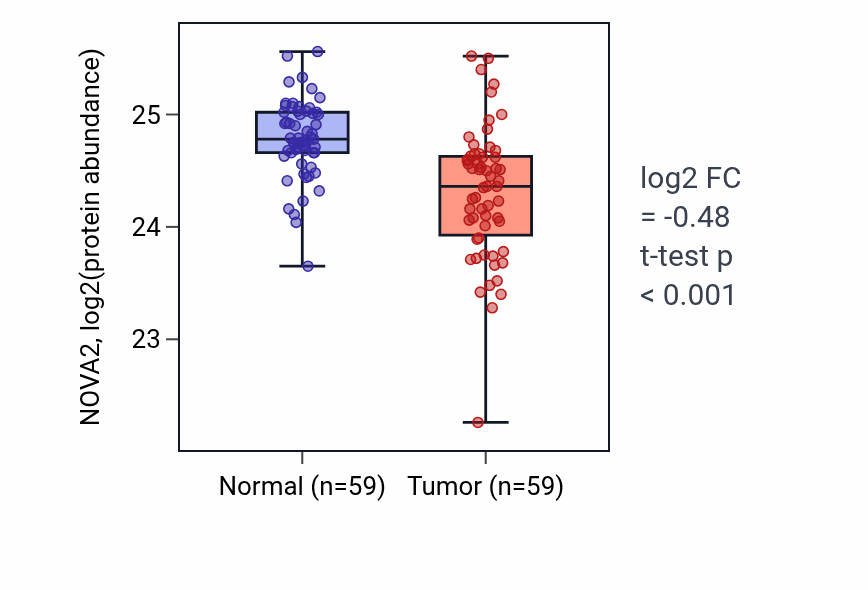 Tumor-vs-normal mass-spec protein box plot for NOVA2 in HNSC.
