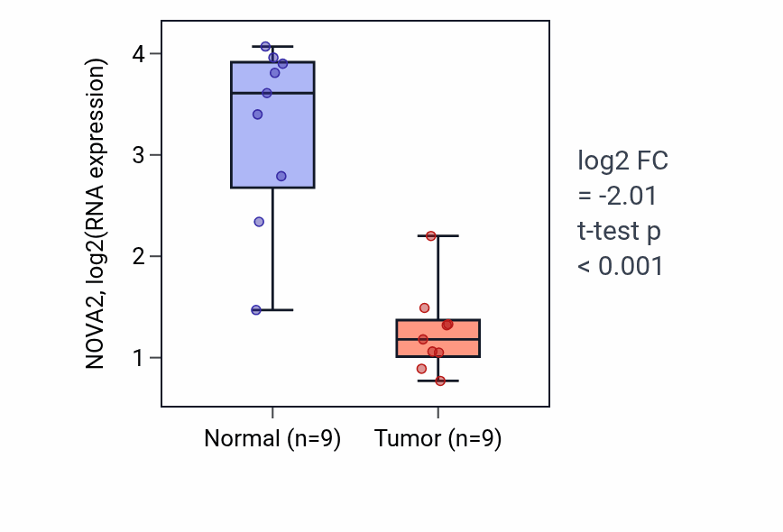 Tumor-vs-normal expression box plot for NOVA2 RNA in LUAD.