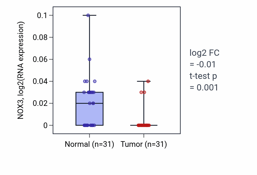 Tumor-vs-normal expression box plot for NOX3 RNA in KIRP.